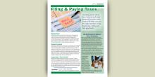 Taxes infosheet
